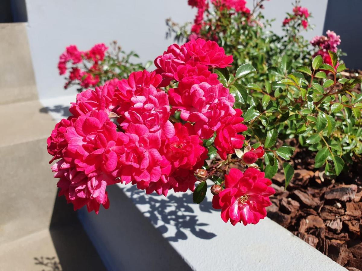 Appartement Casa Atlantico Dachterrassengeschoss à Ribeira Brava Extérieur photo