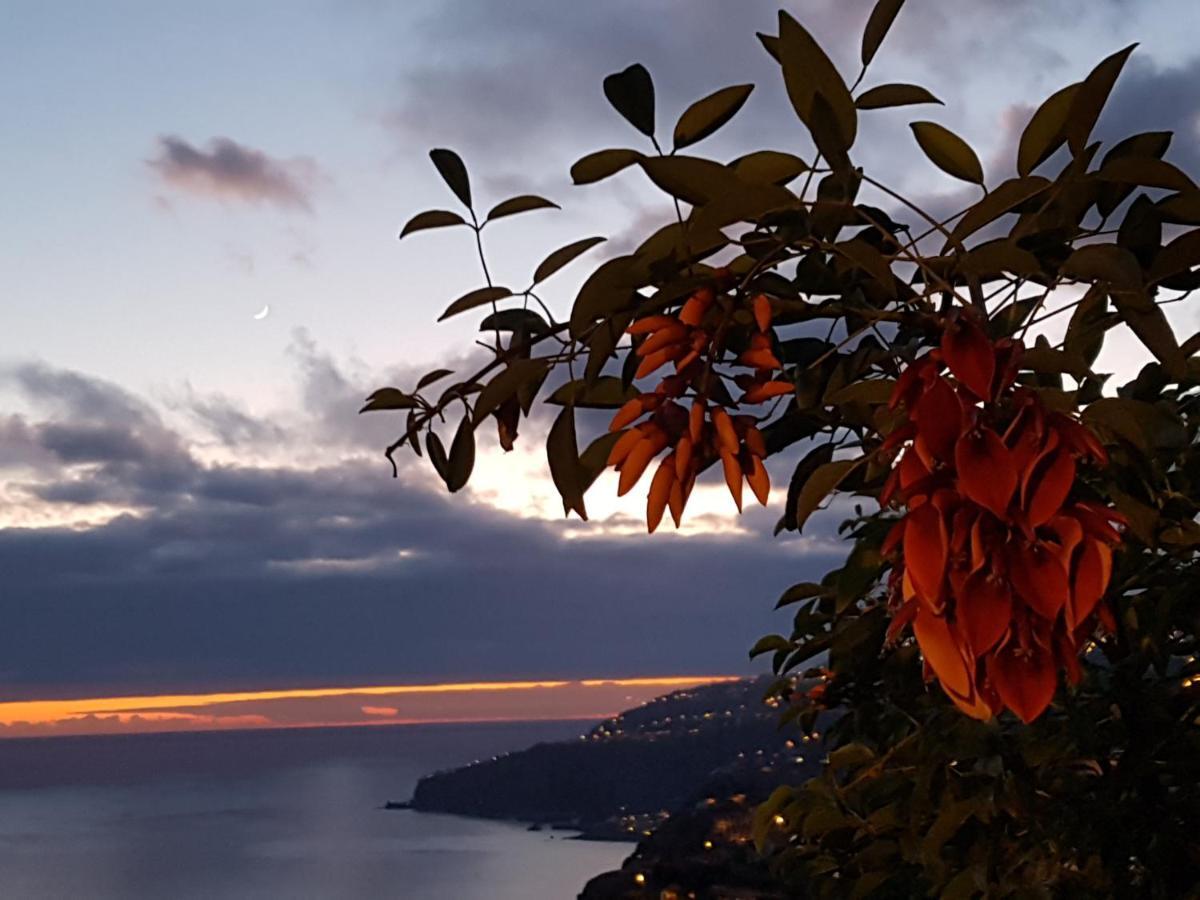 Appartement Casa Atlantico Dachterrassengeschoss à Ribeira Brava Extérieur photo